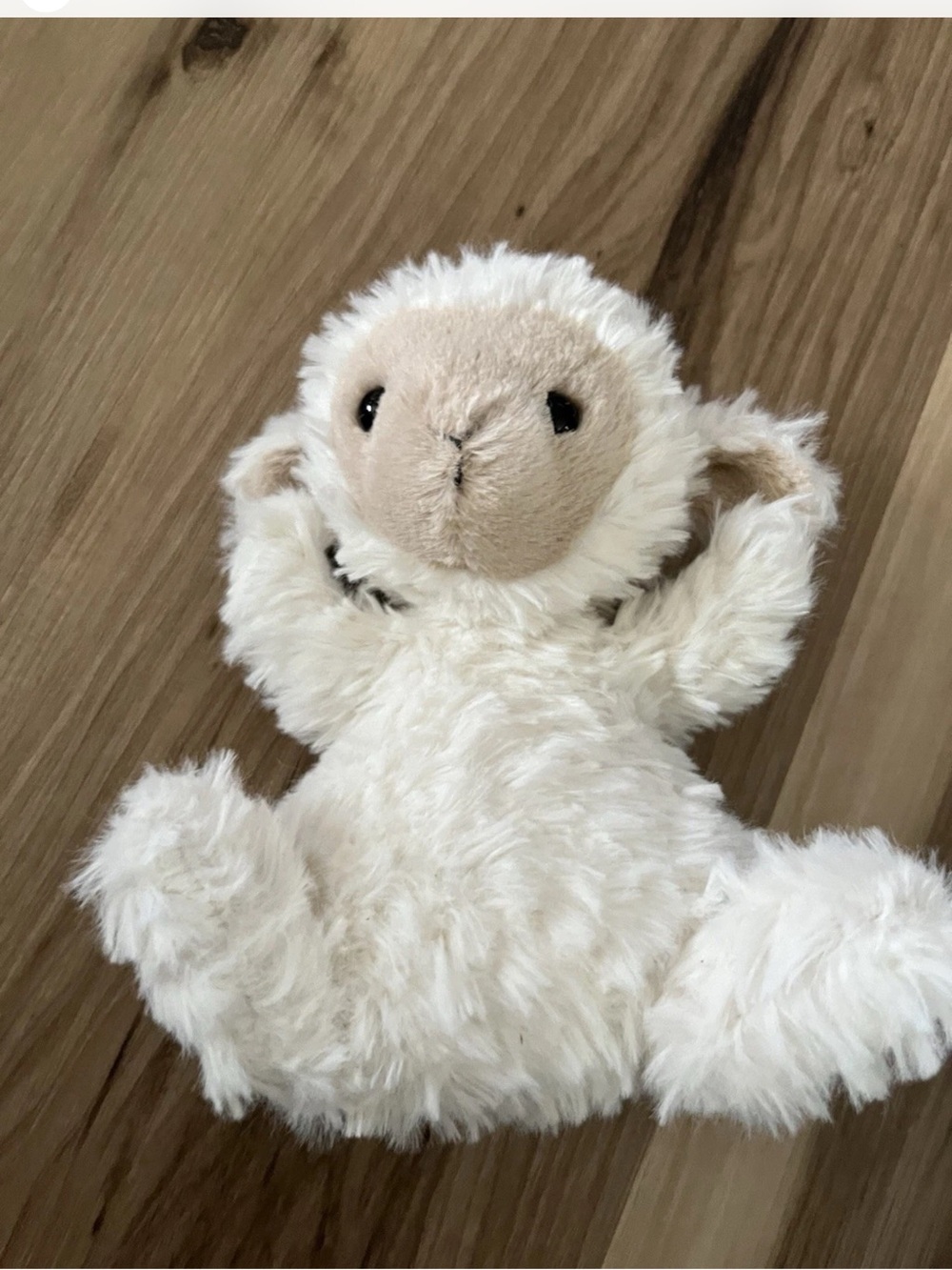 Authentic Jellycat Little Lamb 6”